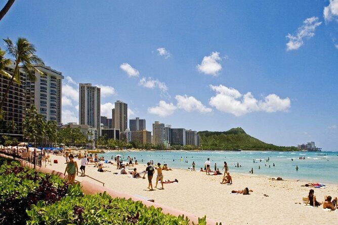 Private Transfer: Honolulu Airport HNL to Honolulu in Luxury SUV - Who Is This Transfer Best Suited For?