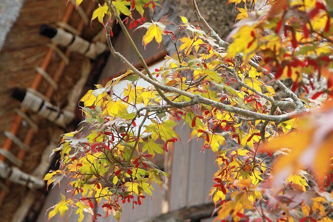 Private transfer Kanazawa to Takayama Including Shirakawago - Price and Value: Is It Worth It?