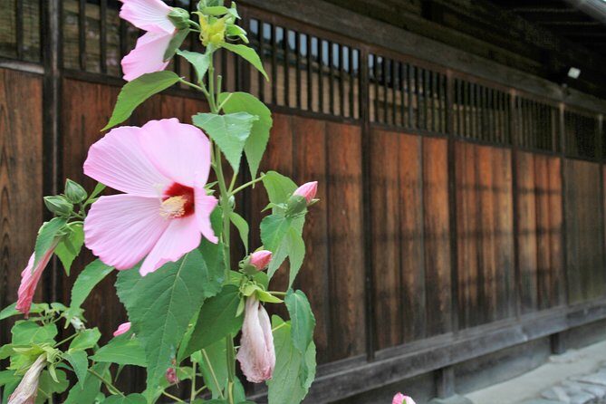 Private transfer Kanazawa to Takayama Including Shirakawago - Final Thoughts: Who Is This Tour Best For?