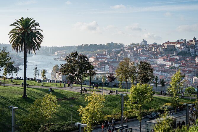 Private Transfer - Lisbon->Porto+Obidos/Aveiro/Fatima/Nazare - Discover Portugal’s Charm on a Private Lisbon to Porto Transfer with Iconic Stops