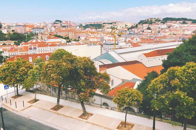 Private Transfer - Lisbon->Porto+Obidos/Aveiro/Fatima/Nazare - Who Is This Tour Best For?