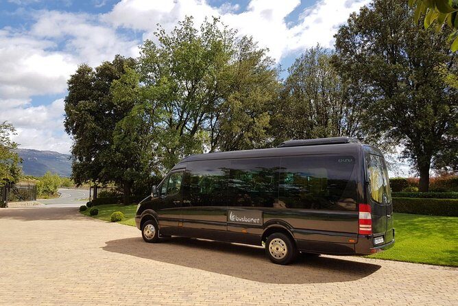 Private Transfer Madrid Barajas Airport to Madrid in Vans up to 7 Passengers - FAQ