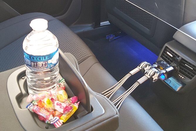 Private Transfer Marseille Airport to Cruise Port Comfortable - Who Should Consider This Service?