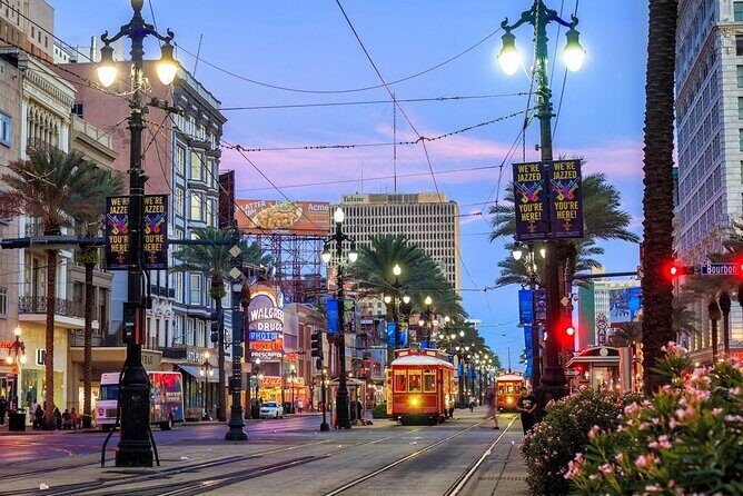 Private Transfer New Orleans Airport MSY to New Orleans Downtown - Why This Transfer is a Smart Choice