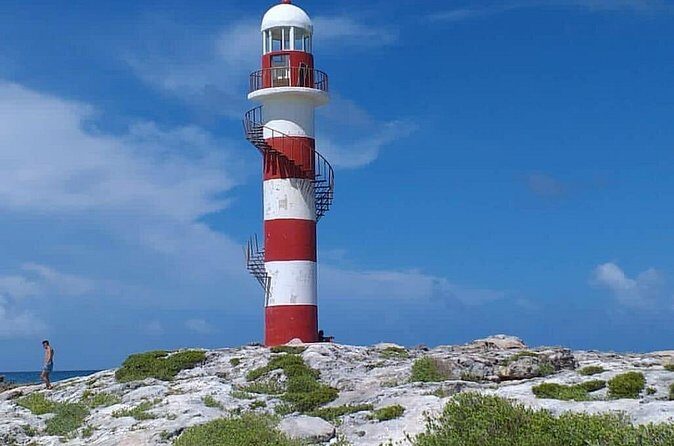 Private Transfer (One Way) Cancun And Hotel Zone (1-8 Passengers) - Authentic Experiences and Real Traveler Feedback