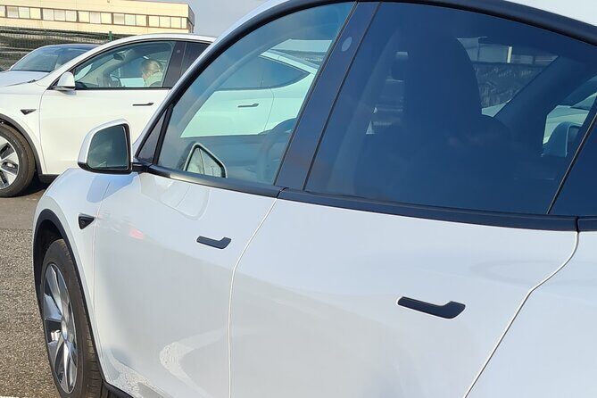 Private Transfer: Orly Airport  Paris - The Experience in Detail