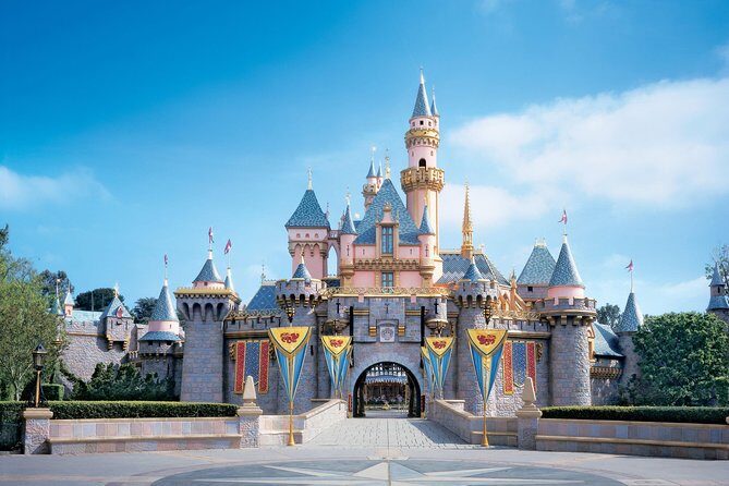 Private Transfer: Paris to Disneyland Park or Hotel by Luxury Van - Why Travelers Love This Service