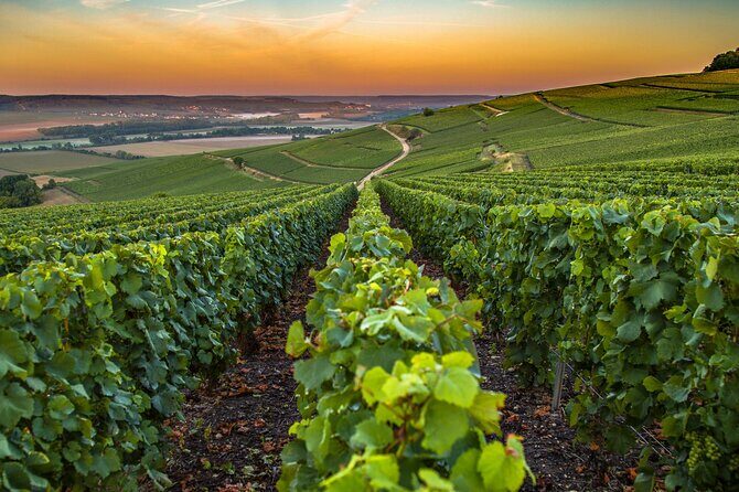 Private Transfer: Reims / Champagne to Paris Airport CDG by Van - Frequently Asked Questions