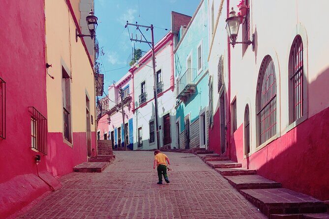 Private Transfer San Miguel de Allende-Guanajuato city, English Speaking Driver - Pricing and Value Analysis