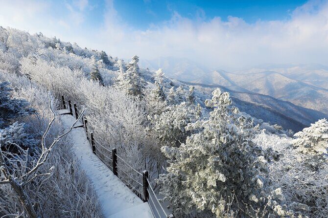 Private Transfer Seoul  Alpensia/Yongpyong/Pyeongchang Ski - Practical Details and Considerations