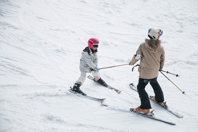 Private Transfer Seoul  Alpensia/Yongpyong/Pyeongchang Ski - Who Is This Transfer Ideal For?