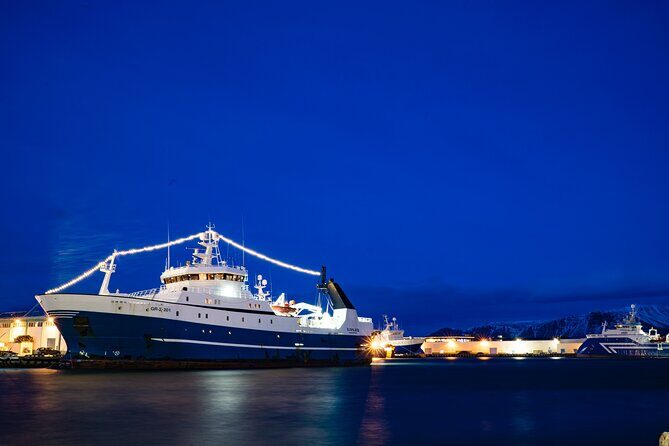 Private Transfer Service from Hotels in Reykjavik to Cruise Ship Terminal - An In-Depth Look at the Experience