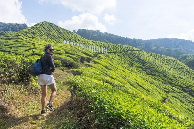 Private Transfer : Taman Negara Kuala Tahan to Cameron Highlands - Why Choose This Transfer?