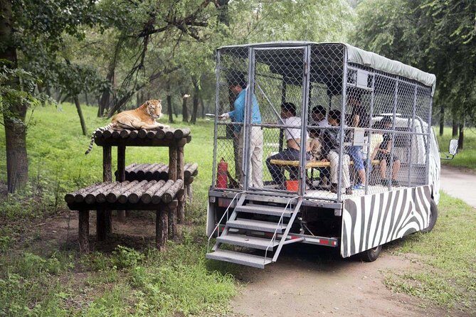 Private Transfer to Beijing Wildlife Park with Self-driving Ride Inside - Key Points