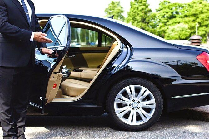 Private Transfer to Nanjing Railway Station from City Hotels - Who Should Consider This Service?