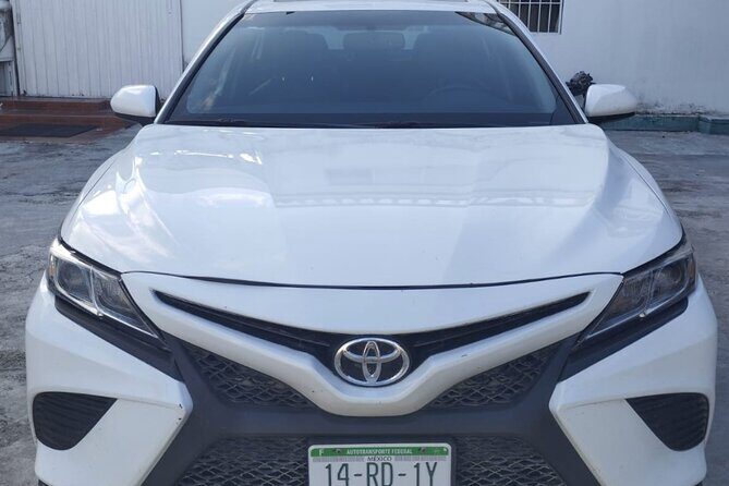 Private Transfer Tulum to Chiquila Holbox with Flexible Stops - Who Is This Tour Best For?