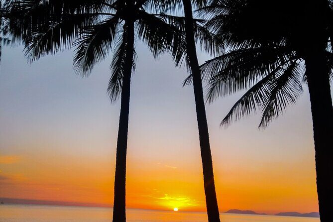 Private Transfers - Cairns Airport to Cairns City - The Review of Past Travelers