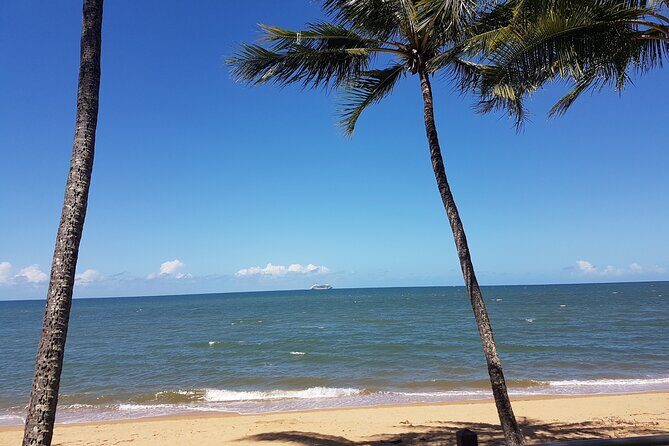 Private Transfers - Cairns Airport to Cairns City - The Itinerary Breakdown