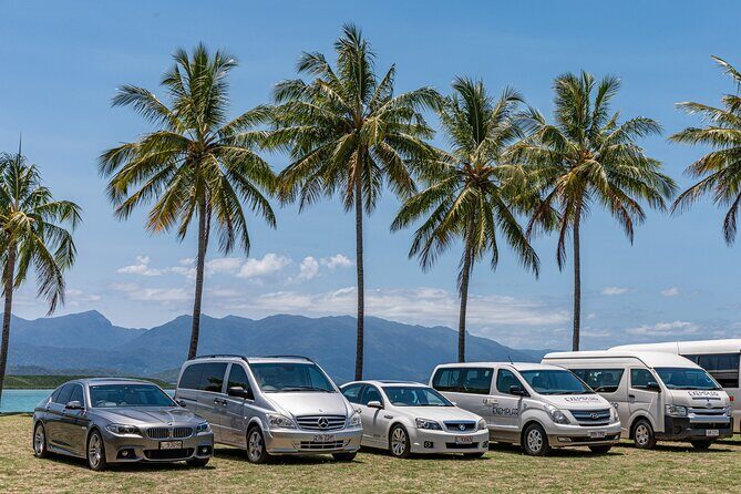 Private Transfers - Cairns Airport to Palm Cove - Service and Driver Experience