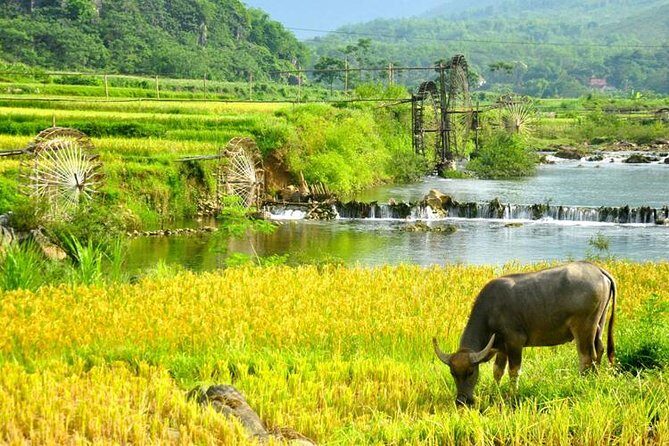 Private transfers From Hanoi to Puluong or From Puluong to Hanoi - Key Points