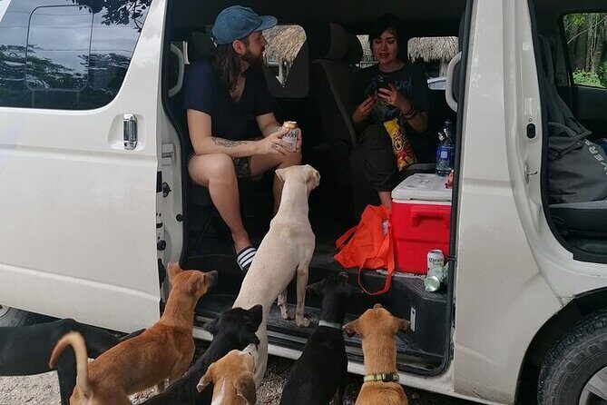 Private Transfers from Tulum Airport to Akumal - How the Service Compares to Other Options