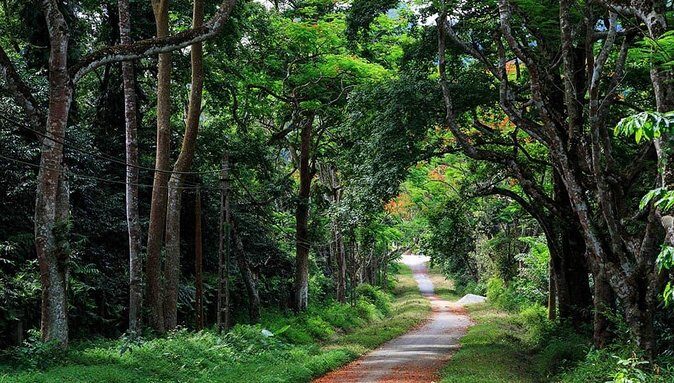 Private Transfers Hanoi to Ba Vi National Park Two Ways Full Day - What Makes Ba Vi National Park Worth Visiting?