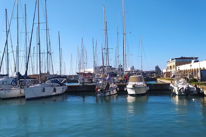 Private Transport from Civitavecchia Port to Rome or vice versa - Authentic Experiences from Reviewers