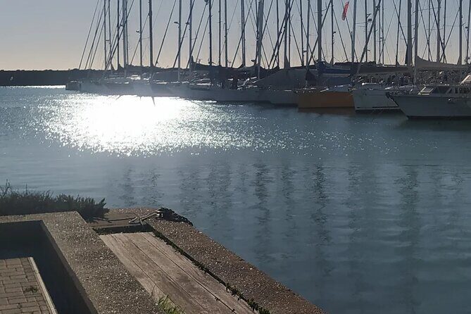 Private Transport from Civitavecchia Port to Rome or vice versa - The Sum Up