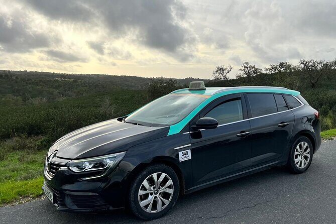 Private Transport in Lisbon - Discovering Lisbon with Private Transport: What to Expect