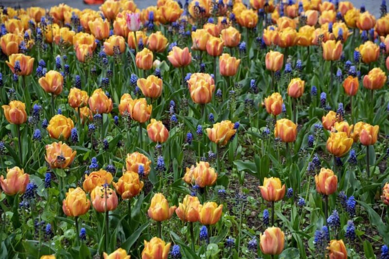 Private Transport to Berlin Zoo with Skip-the-line Ticket - Final Thoughts