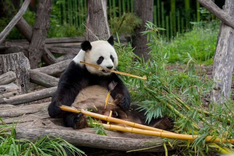 Private Transport to Berlin Zoo with Skip-the-line Ticket - Frequently Asked Questions