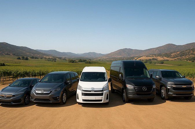 Private Transport Valle Guadalupe Worry Free 10H - Summary: Is It Worth the Price?