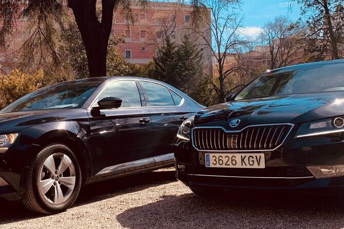 Private Transportation from Madrid Airport to City Center - Possible Drawbacks and Considerations