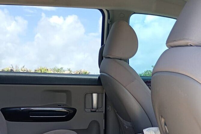 Private Transportation from the Airport to the Hotel Zone of Cancun - Who Would Love This Service?