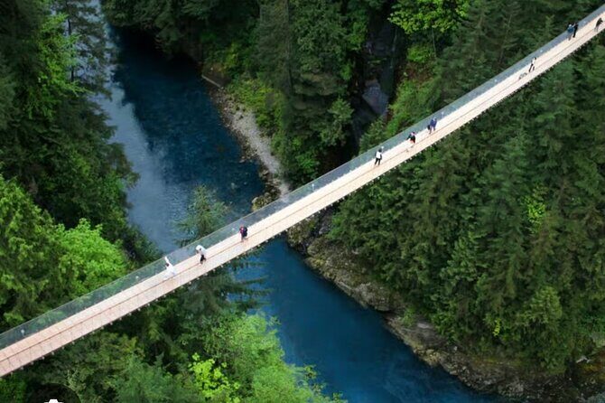 Private Transportation to Capilano Suspension Bridge Park - The Experience in Detail