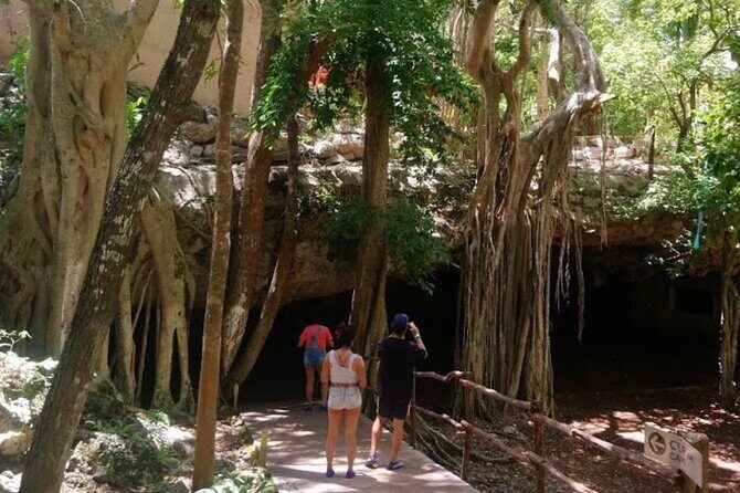 Private Transportation to Chichen Itza  Transportation Only - The Journey to Chichen Itza: What to Expect