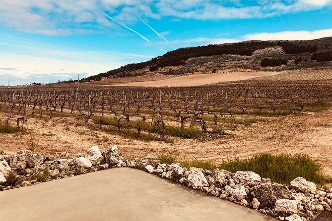 Private Transportation to Ribera del Duero by Minivan - A Detailed Look at the Ribera del Duero Private Minivan Tour