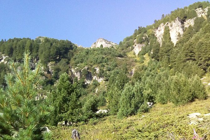 Private Trekking in Rila Mountains and Mt Mousala from Sofia - The Experience: What to Expect