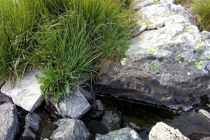 Private Trekking in Rila Mountains and Mt Mousala from Sofia - Who Will Love This Tour?