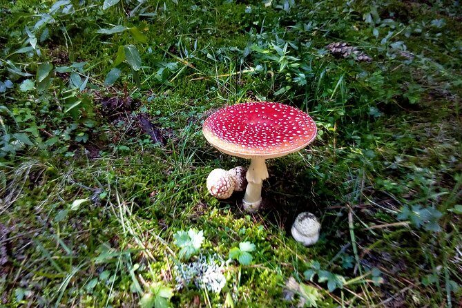 Private Trekking in Rila Mountains and Mt Mousala from Sofia - FAQs