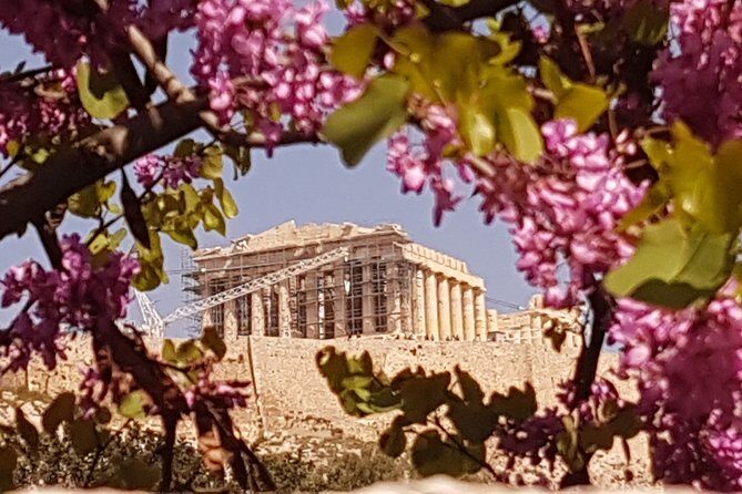 Private Trip Athens City's Landmarks. - What Travelers Say and Why It Matters