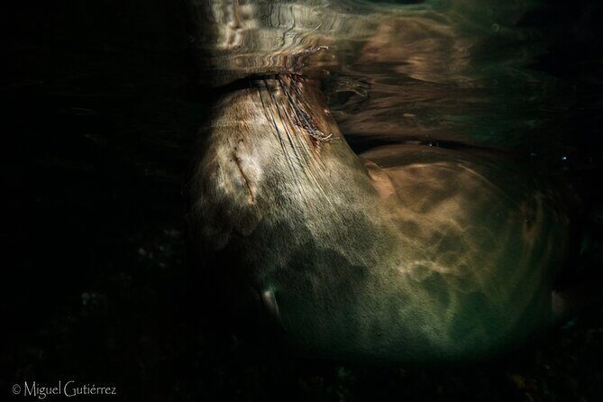 Private Trip Espiritu Santo Island - In-Depth Look at the Experience