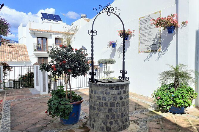 Private Trip in Gibraltar and Estepona from Marbella - Pricing and Value