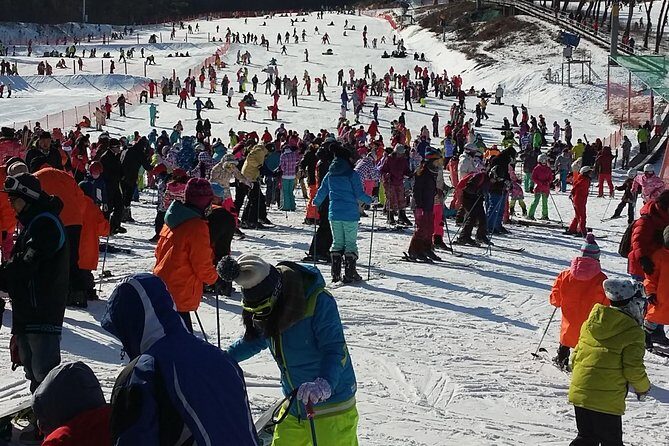 Private Trip to Nami Island and Ski Resort - FAQs