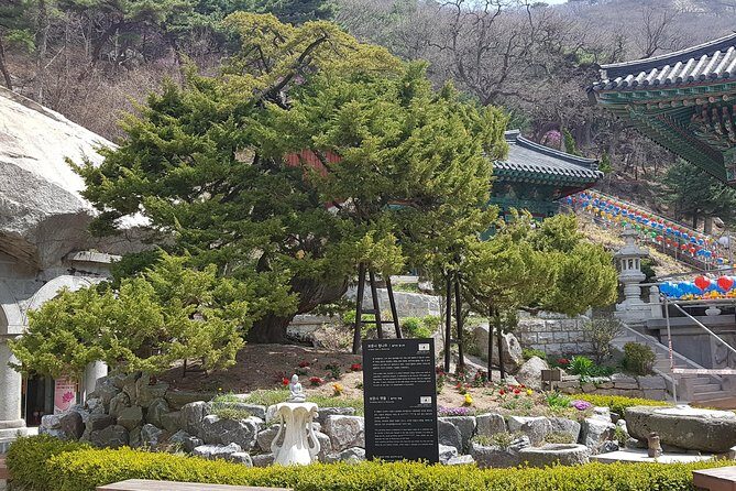 Private Trip to Seongmo Island(Temple) and North Korea Observatory+Kimchi Lesson - Who Is This Tour Best For?