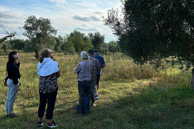 Private Trip to the Vineyards of Ginosa with tasting from Matera - Transport, Timing, and Practicalities