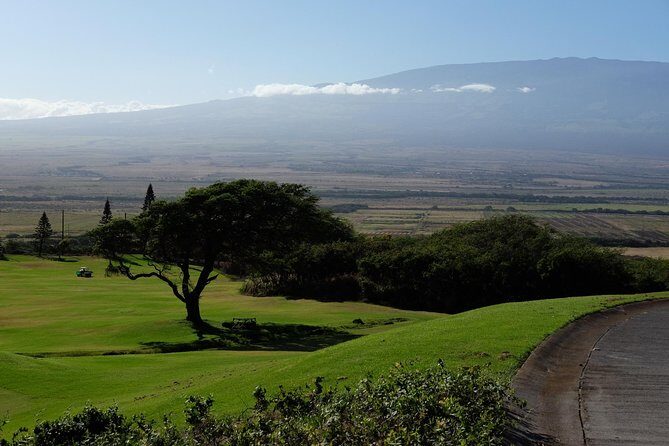 Private Tropics of Maui & Rainforest Valley: Kahului, Wailea, Kihei pick up - FAQ
