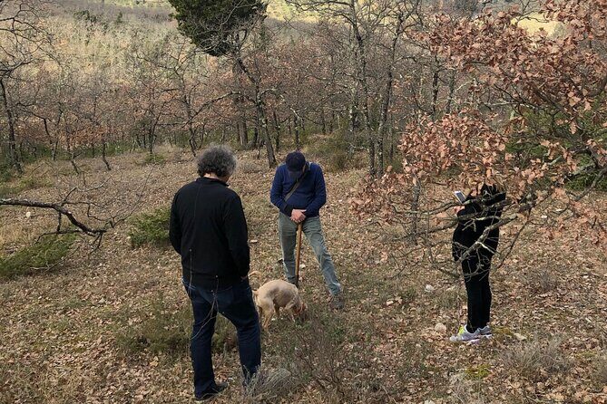 Private Truffle Hunt in Tuscany - Who Is This Tour Best For?