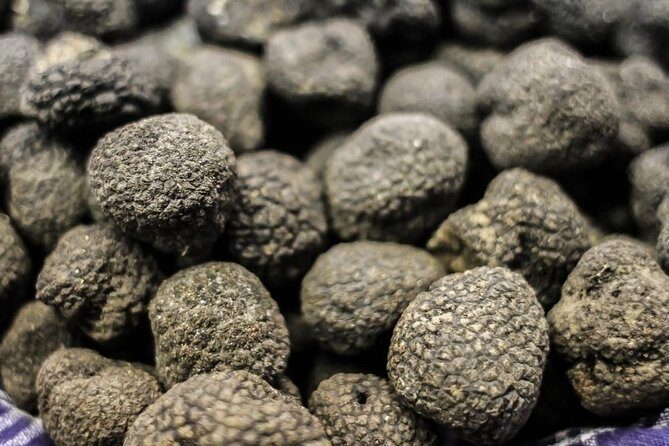 Private Truffle Hunting in Chianti - Authenticity and Review Highlights