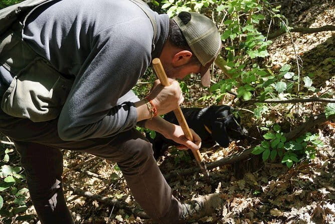 Private Truffle Hunting in Chianti from Florence - A Closer Look at the Truffle Hunting Experience